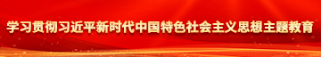 性巴克网站免费学习贯彻习近平新时代中国特色社会主义思想主题教育